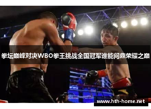 拳坛巅峰对决WBO拳王挑战全国冠军谁能问鼎荣耀之巅